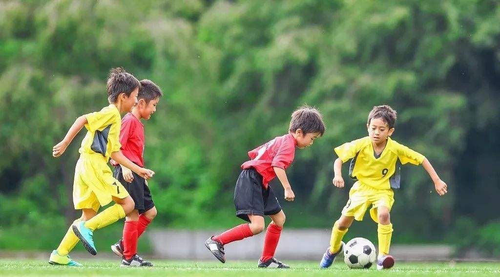 
                                全国足球特色幼儿园创建工作启动